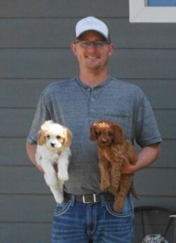 Founder of Hillcrest Cavaliers/Angelic Puppies Corey Koelzer