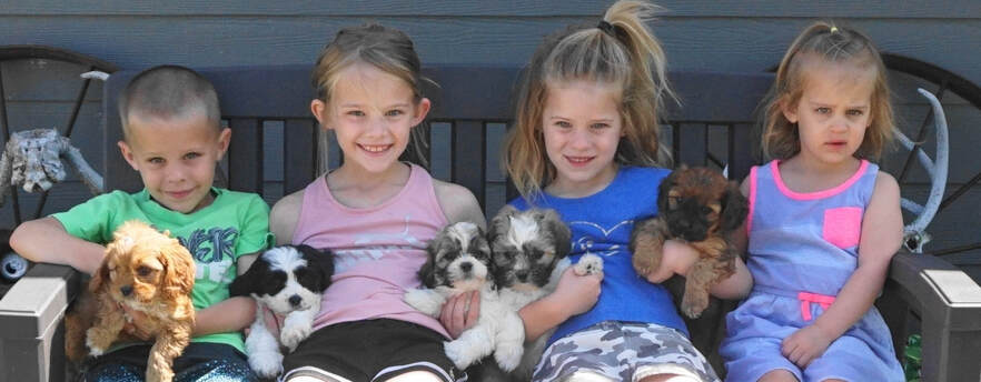 Children holding our designer breed puppies